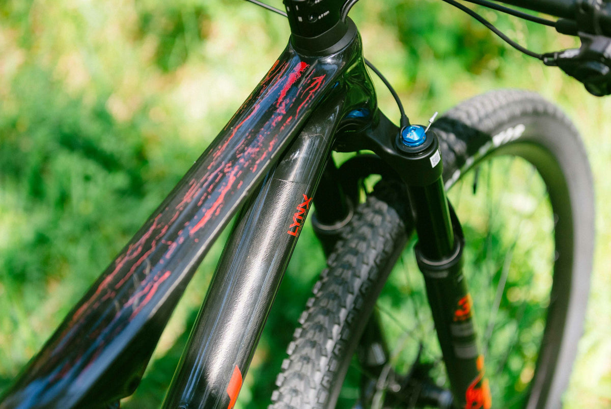 VTT cross-country BH LYNX RACE 6.5, détail 5