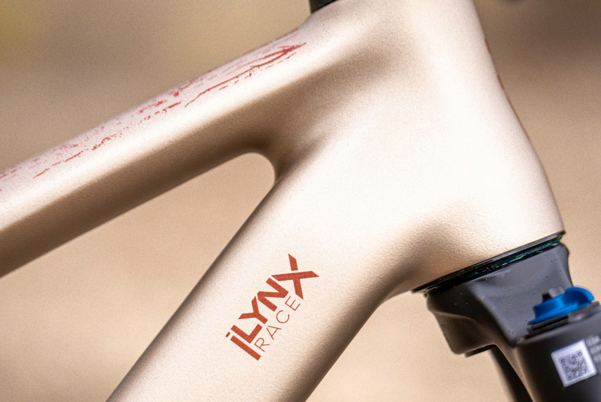 VTT électrique cross-country BH iLYNX RACE CARBON 7.7, détail 6