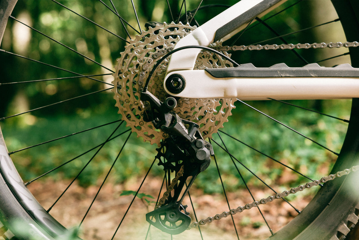 VTT électrique trail BH iLYNX+ DL TRAIL 7.9, détail 7