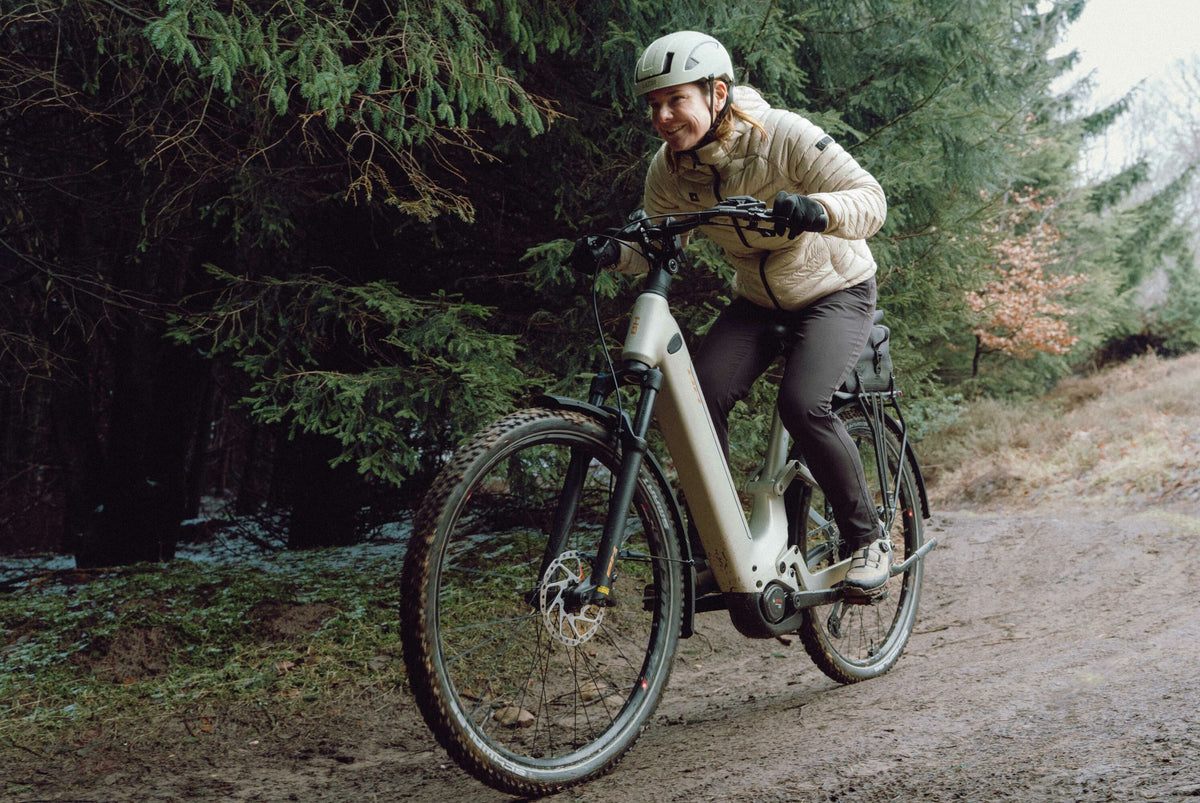VTC électrique BH ATOM+ NX SUV WAVE PRO, détail 8